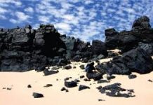 Indonesia’s BUMI Aims to Convert 80% Forex Revenues to Rupiah