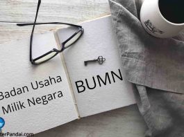 Moody’s Downgrades Jasa Marga, Wijaya Karya Rating due to COVID-19