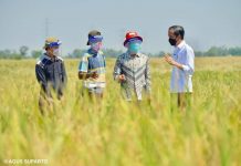 S&P Keeps Indonesian Sovereign Credit Rating at BBB